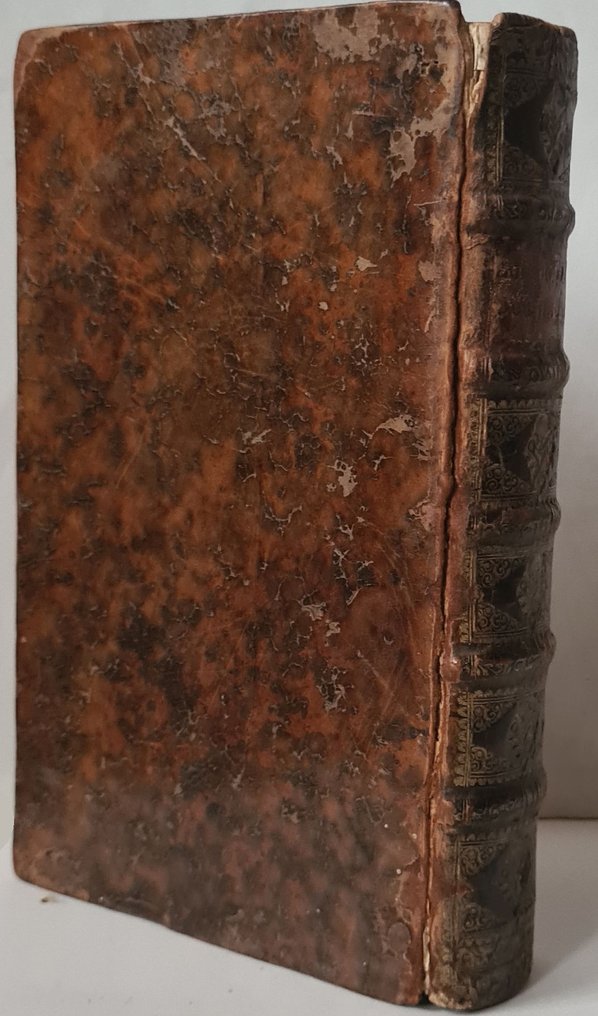 Hugo van Heussen/Hugo van Rijn - Oudheden en gestichten van het rechte Zuid-Holland en van Schieland - 1719 #2.1