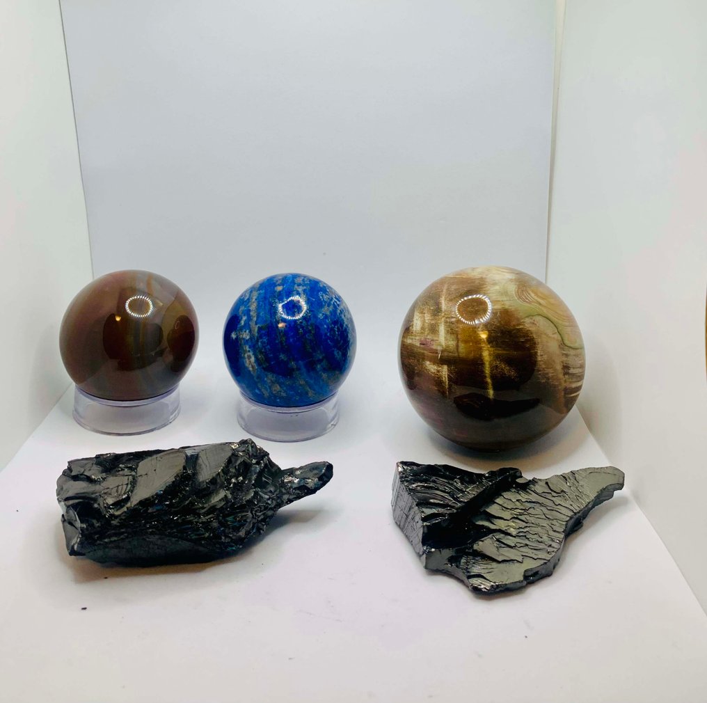 Legno fossile Sfera - Altezza: 7.5 cm- 1310 g - (4) #3.2