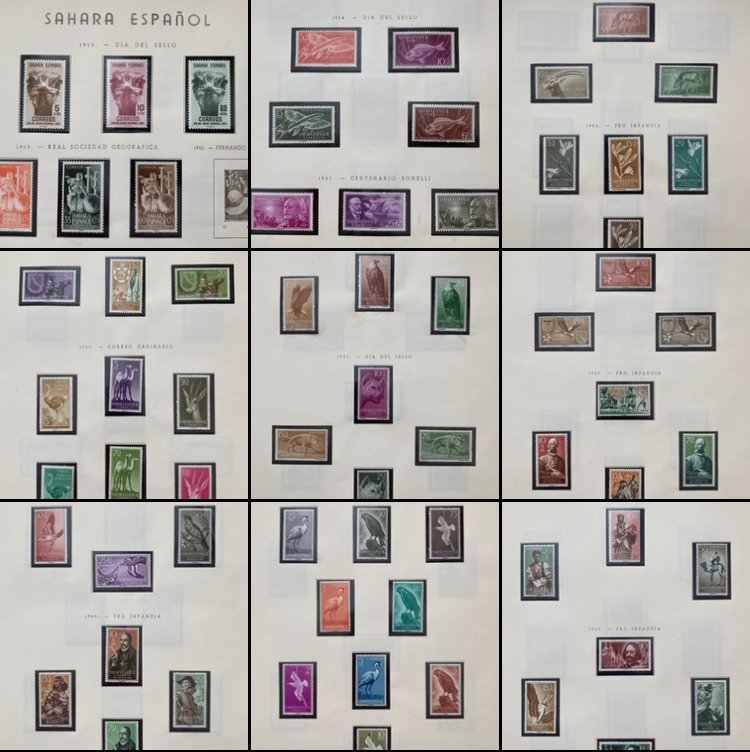 Spain and Colonies - Δεύτερη εκατονταετηρίδα. Συλλογή Fernando Poo, Ίφνι, Ισπανική Σαχάρα, Μαρόκο, Ρίο Μούνι, Σαχάρα και #1.0