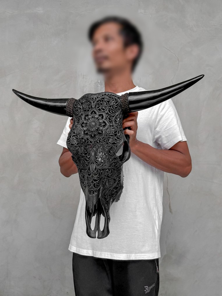 Χωρίς ελάχιστη τιμή - Αυθεντικό μαύρο κρανίο ταύρου με χειροποίητη χαρακτική - Σχήμα αστέρι Μαντάλα. Λαξεμένο κρανίο - Bos Taurus - 50 cm - 68 cm - 18 cm- Είδη που δεν ανήκουν στο CITES -  (1) #1.0