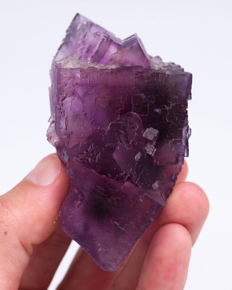 紫色萤石 使用 QUARTZ 变体 Herkimer 钻石 - 高度: 7.1 cm - 宽度: 4.2 cm- 170 g - (1) #2.1