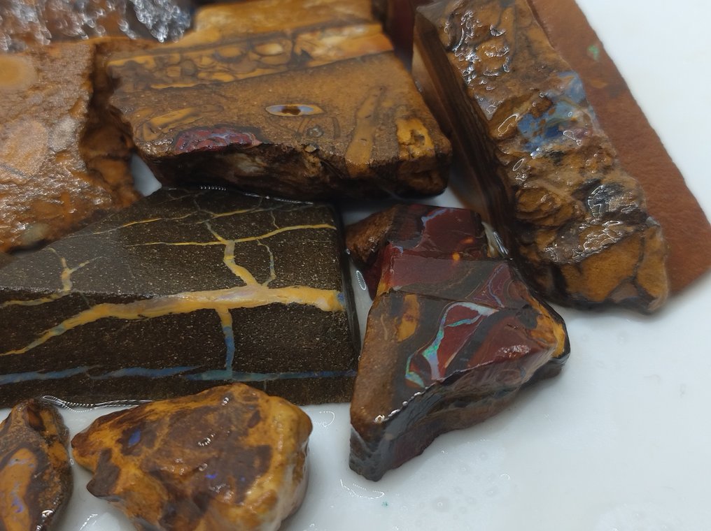 750 ct - 20 Australian Boulder Opal - Rough- 150 g #3.2
