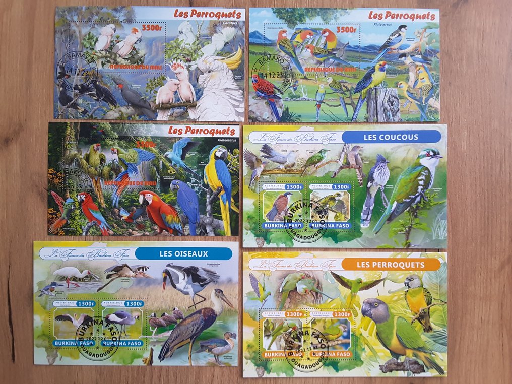 世界  - 鸟类 126 种不同的现代 CTO 模块 #1.0