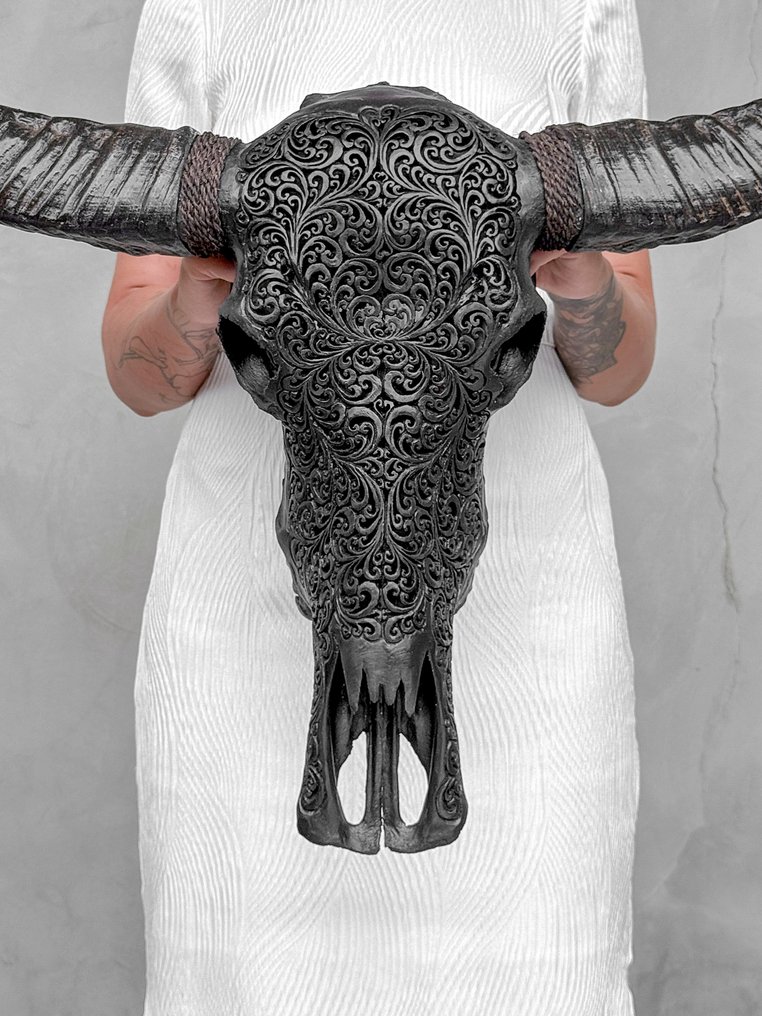 无底价 - C - 特大黑色雕刻水牛头骨 - 蕨叶图案 雕刻頭骨 - Bubalus Bubalis - 59 cm - 82 cm - 19 cm- 非《瀕臨絕種野生動植物國際貿易公約》物種 #1.0