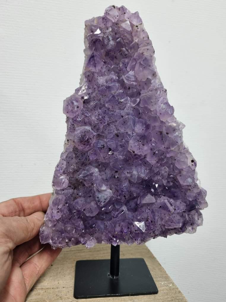 无RP - HQ紫色紫水晶，配豪华钢制支架 - 高度: 255 mm - 宽度: 155 mm- 2400 g #1.0
