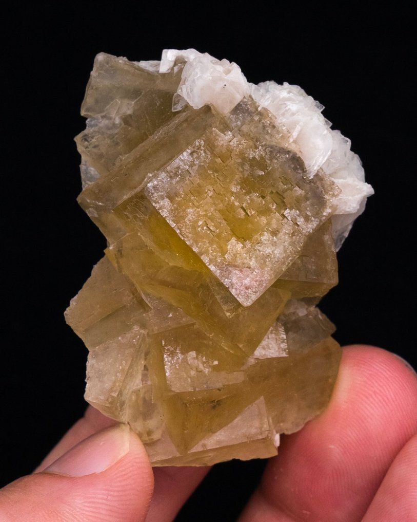 Heldergele fluoriet Met bariet - Hoogte: 4.9 cm - Breedte: 3.3 cm- 42 g - (1) #3.2