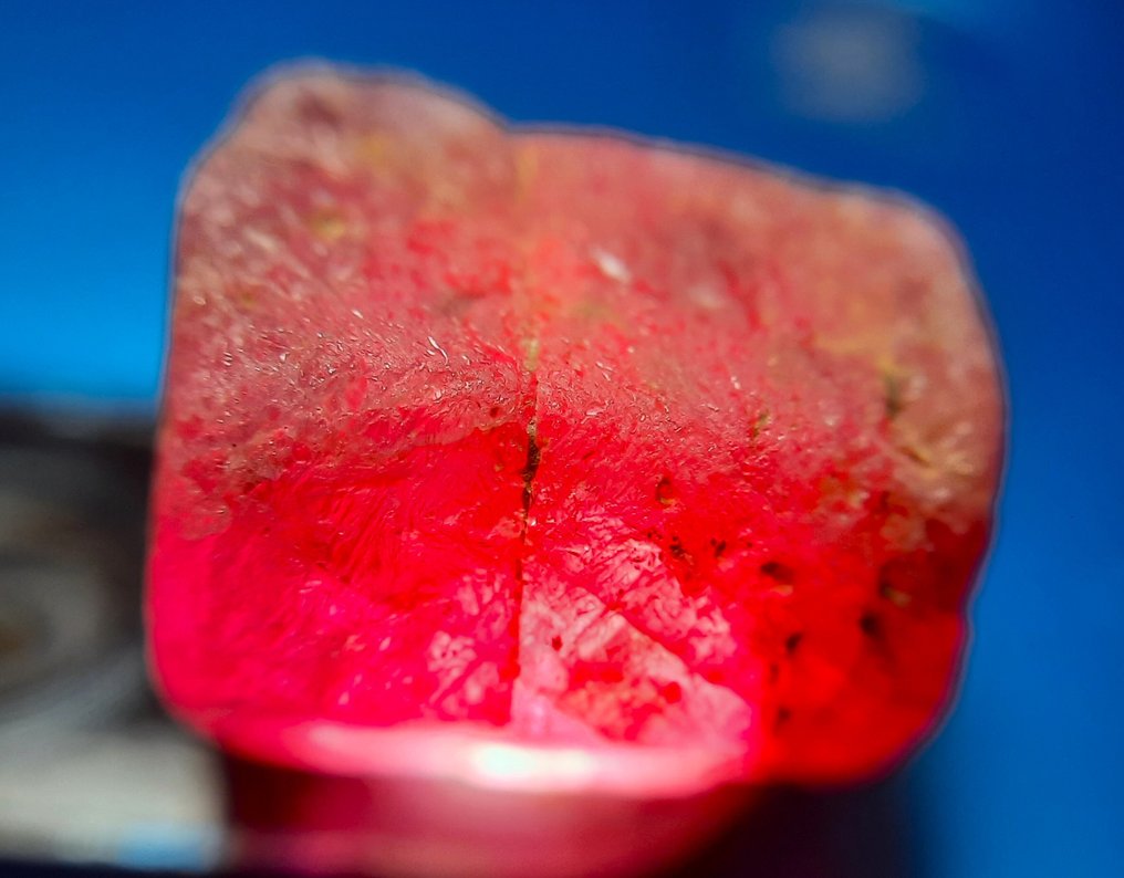 29.2 ct - Untreated Natural Ruby - Rough- 5.84 g #4.3