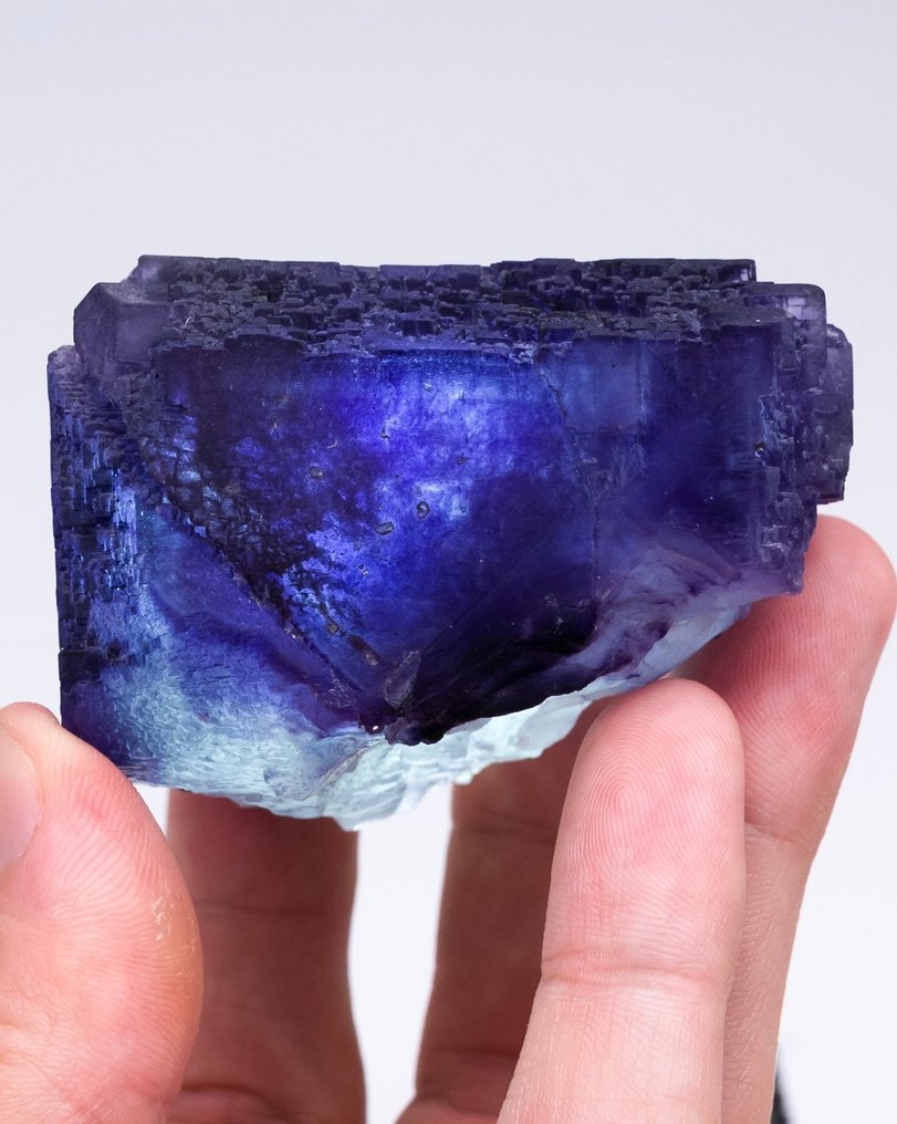 深蓝色和紫色萤石立方体 在背后联系 - 高度: 5 cm - 宽度: 5.9 cm- 220 g - (1) #4.3