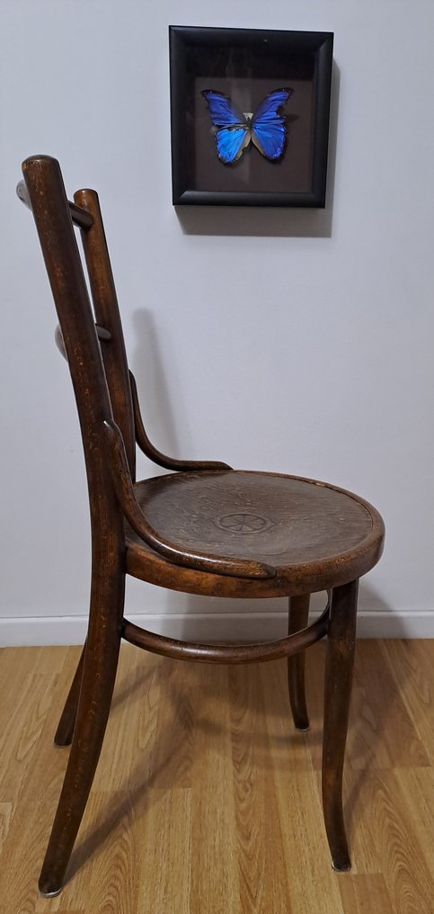 Michael Thonet - Stol - Træ - Bistrostol #2.1