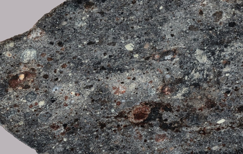 Meteorit NWA 17840 - HED achondrit Howardite Skive - 29.51 g - (1) #1.0