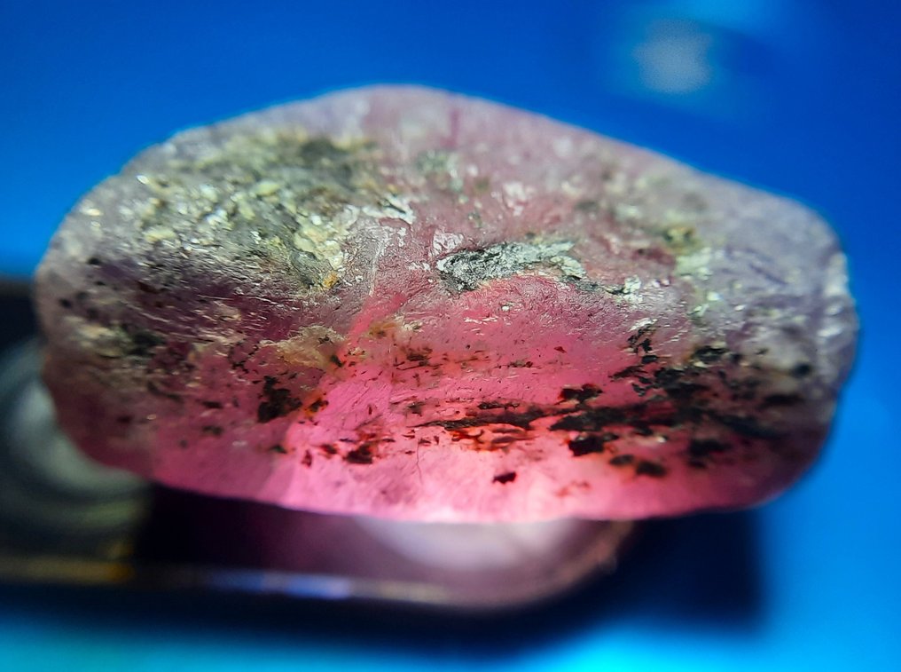 33.1 克拉“稀有的”未处理天然玫瑰蓝宝石 粗糙- 6.62 g #3.2
