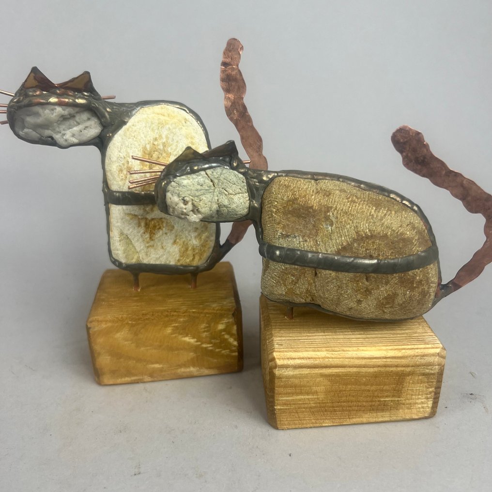 Dariusz Drzymała (XX-XXI) - NO RESERVE- 2 CATS #3.2