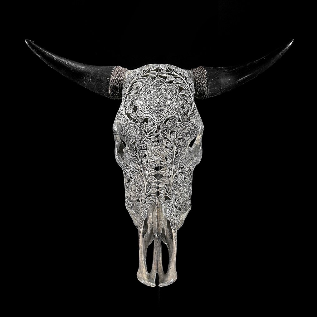 无底价 - 令人惊叹的巨大手工雕刻灰色公牛头骨 - 花卉曼陀罗图案 雕刻頭骨 - Bos Taurus - 54 cm - 63 cm - 18 cm- 非《瀕臨絕種野生動植物國際貿易公約》物種 -  (1) #2.1
