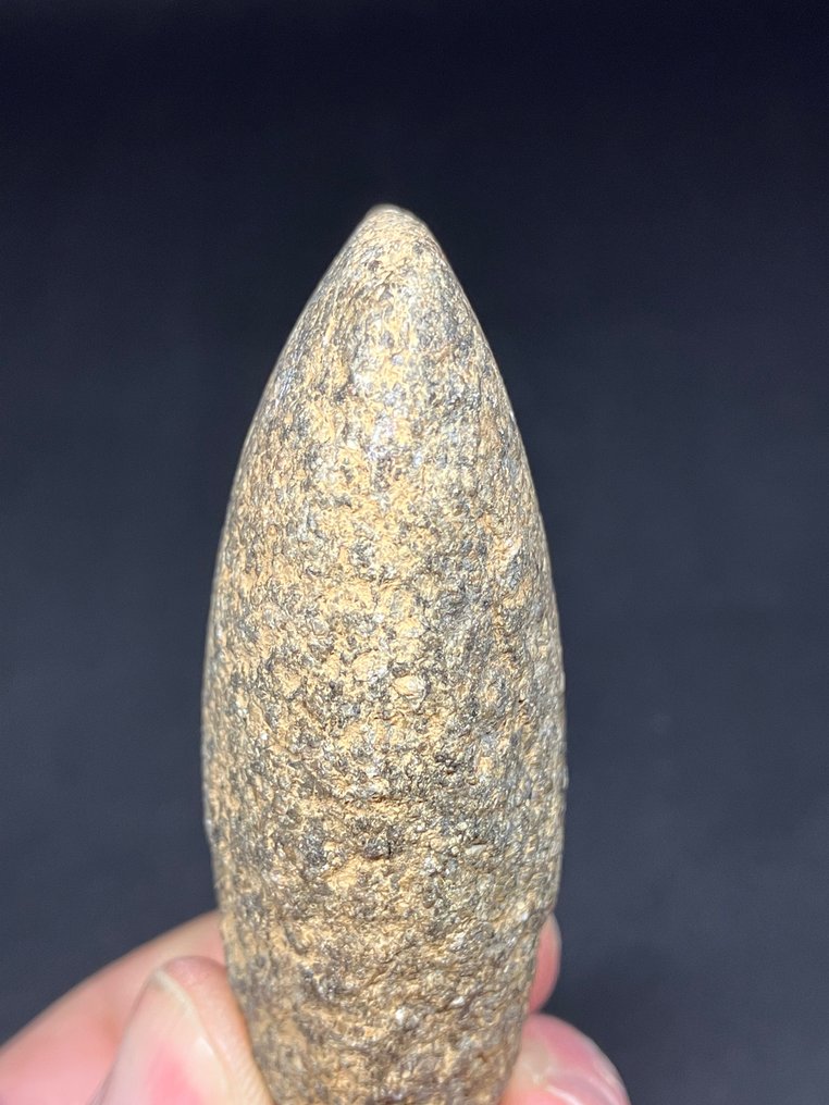 Neolit Kő Eszköz - 75 mm - Fényes fejsze  (Nincs minimálár) #3.2