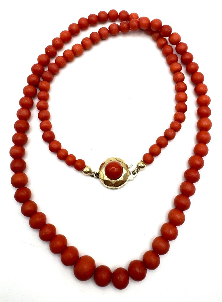 Ei pohjahintaa - Ketju - 14 kt. Keltakulta #2.1