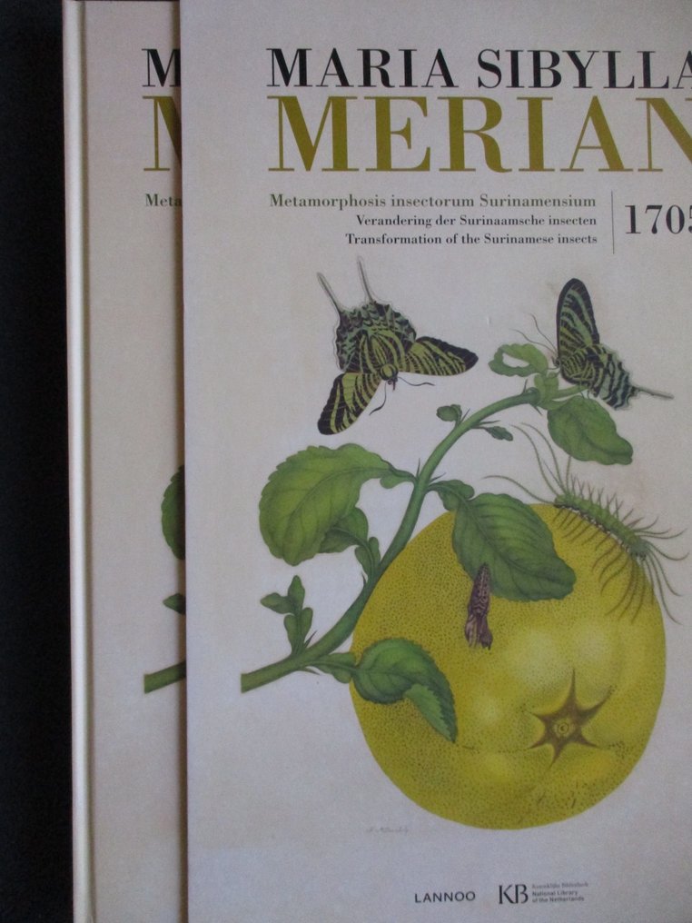 Maria Sibylla Merian - Metamorphosis insectorum Surinamensium / Verandering der Surinaamsche - 2016 #1.0