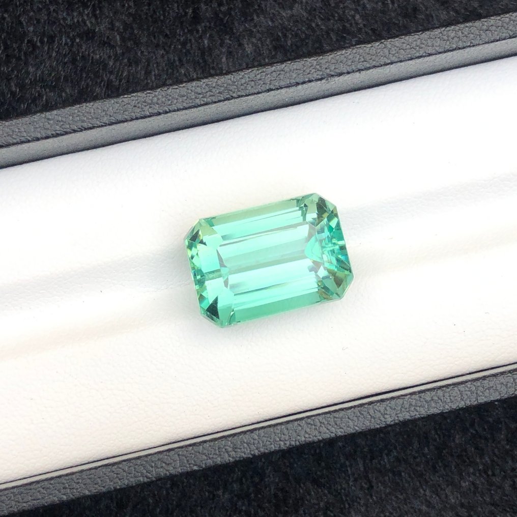 没有保留价 - 1 pcs  绿色 翠铬锂辉石  - 20.49 ct - 国际宝石研究院（IGI） #4.3