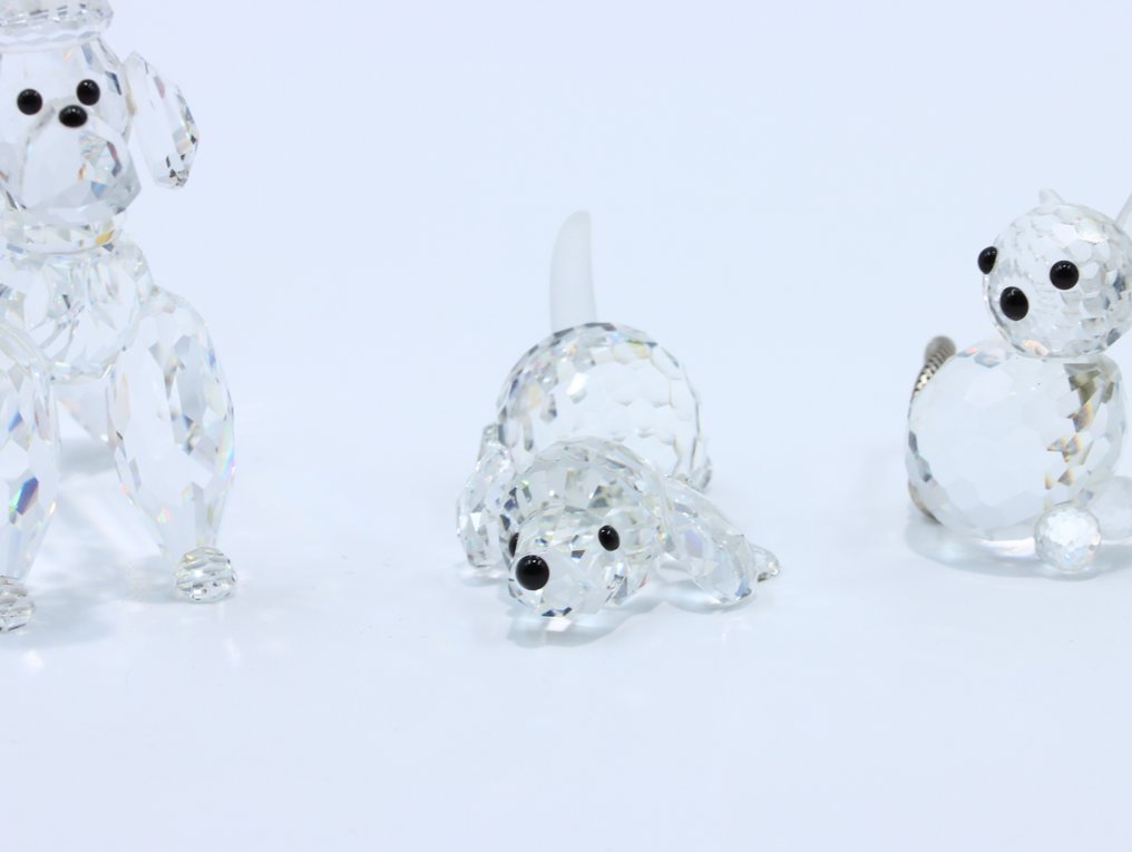 Figura - Swarovski - Set honden en katten (Unboxed) (5) - Cristal #3.2