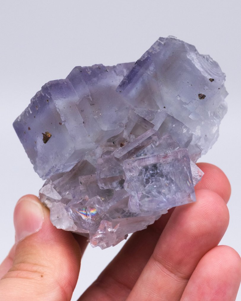 Κλασικό υλικό μπλε φθαλίτη Με χαλκοπυρίτη - Ύψος: 4.7 cm - Πλάτος: 4.8 cm- 169 g - (1) #4.3