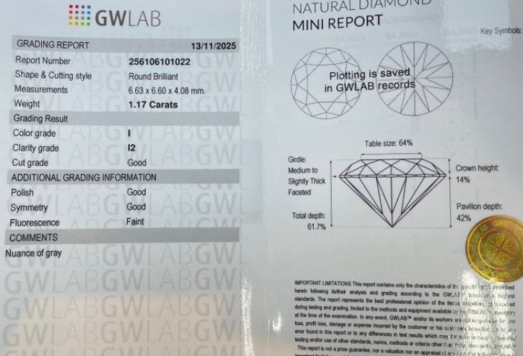 Sem preço de reserva - 1 pcs Diamante  (Natural)  - 1.17 ct - Redondo - I - I2 - Gemewizard Gemological Laboratory (GWLab) #2.1