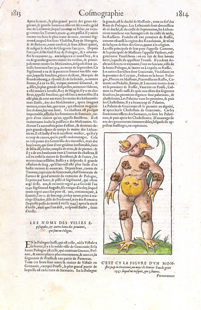 F. Belleforest - C'est cy la figure d'un Monstre nay en Graccovie au mays de Fevrier l'an de grace 1547, (Monster of #3.2