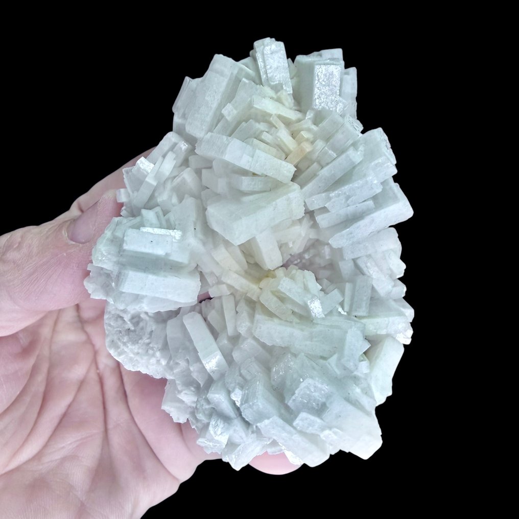 Εξαιρετικό κλασικό συμπλέγμα Baryte – Επίπεδο Geriniere, Ορυχείο Brosso (πρώην Galli) - Ύψος: 9 cm - Πλάτος: 7 cm- 330 g #4.3