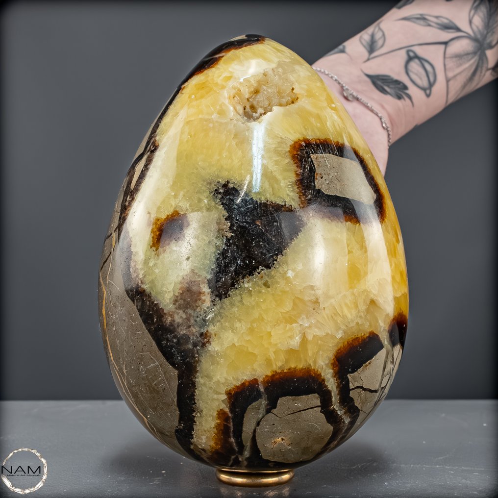 Εντυπωτικό αυγό δράκου Septarien από τη Μαδαγασκάρη Φυσική Δύναμη & Μυστική Ομορφιά (2,3 kg)- 2383.58 g #3.2