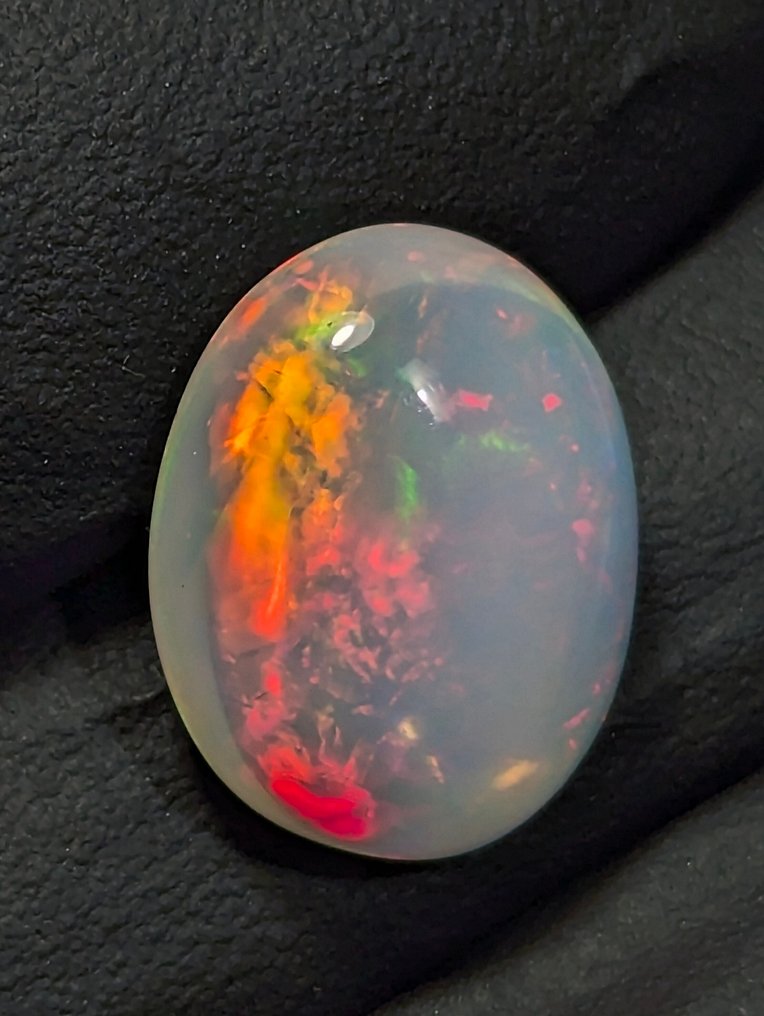 6.06 ct - Beautiful Natural Precious Welo Opal, with intense play of color. Cabochon - Height: 14.5 mm - Width: 11 mm- 1.21 g - (1) #2.1