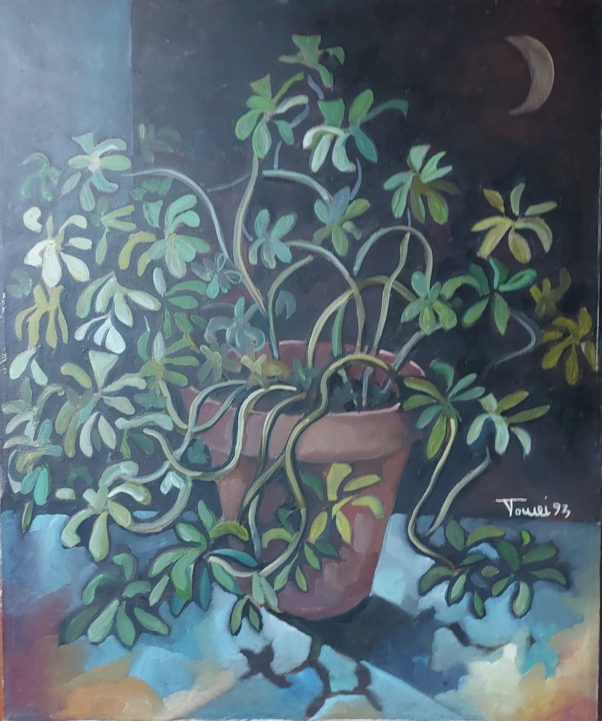 Francesco Tomei (XX) - Pianta grassa #1.0