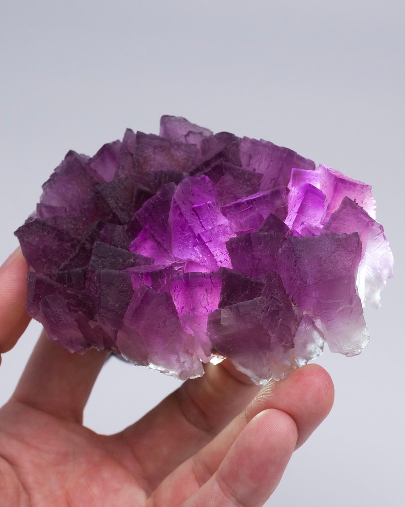 ΜΕΓΑΛΗ ΜΟΒ ΦΘΟΡΙΤΗΣ πλάκα επιπλεύσεως - Ύψος: 9.6 cm - Πλάτος: 7 cm- 298 g - (1) #3.2