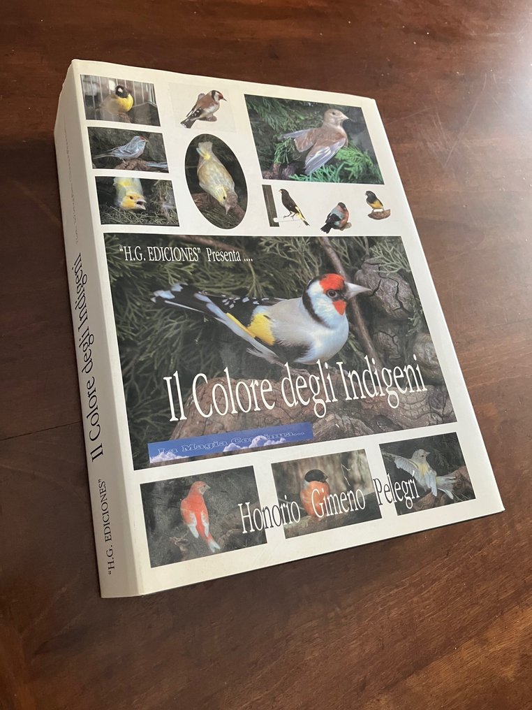 Honorio Gimeno Pelegrí - Il Colore degli Indigeni - 2004 #1.0