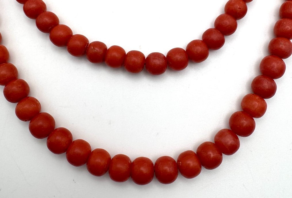 没有保留价 - 链 珊瑚 #3.2