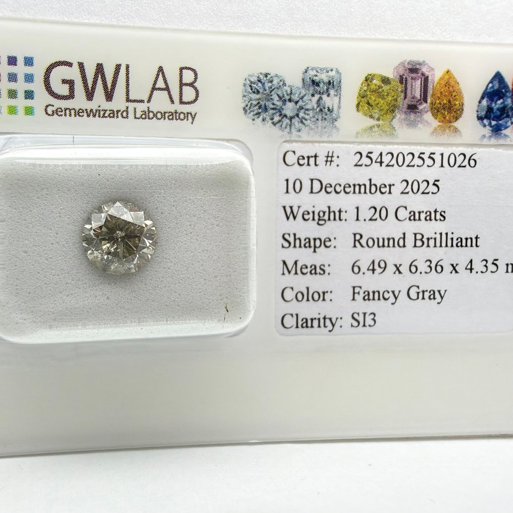No reserve price - 1 pcs Diamond (Natural coloured) - 1.20 ct - Round - Fancy Grey - SI3 - Gemewizard Gemological Laboratory (GWLab) #1.0
