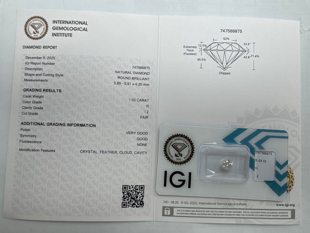 Sem preço de reserva - 1 pcs Diamante (Natural) - 1.03 ct - Redondo - H - I2 - International Gemological Institute (IGI) #1.0