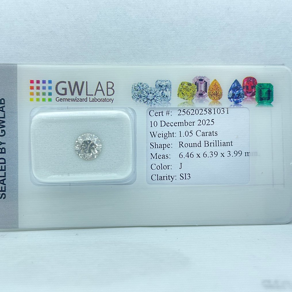 Senza prezzo di riserva - 1 pcs Diamante (Naturale) - 1.05 ct - Rotondo - J - SI3 - Gemewizard Gemological Laboratory (GWLab) #3.2
