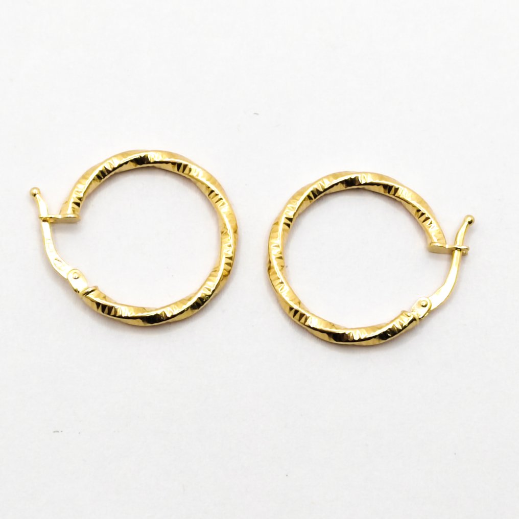 No reserve price - Earrings - 18 kt. Yellow gold #4.3