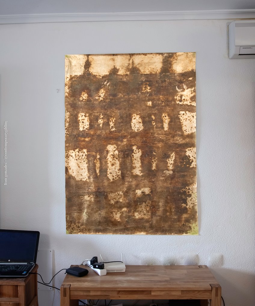 Fran Gonzalez 1959 (Contemporary Gilding) - Treillis de Lumiere (XXL) #4.3