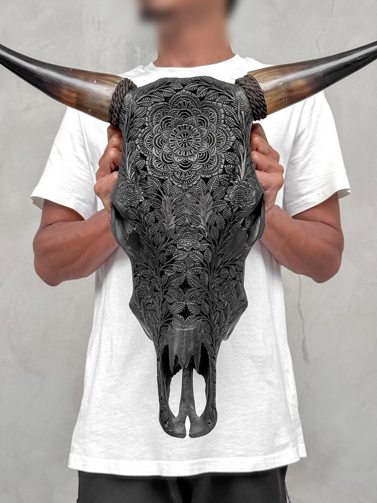 无底价 - 大型黑色雕刻公牛头骨 - 花卉曼陀罗图案 雕刻頭骨 - Bos Taurus - 53 cm - 57 cm - 17 cm- 非《瀕臨絕種野生動植物國際貿易公約》物種 #1.0