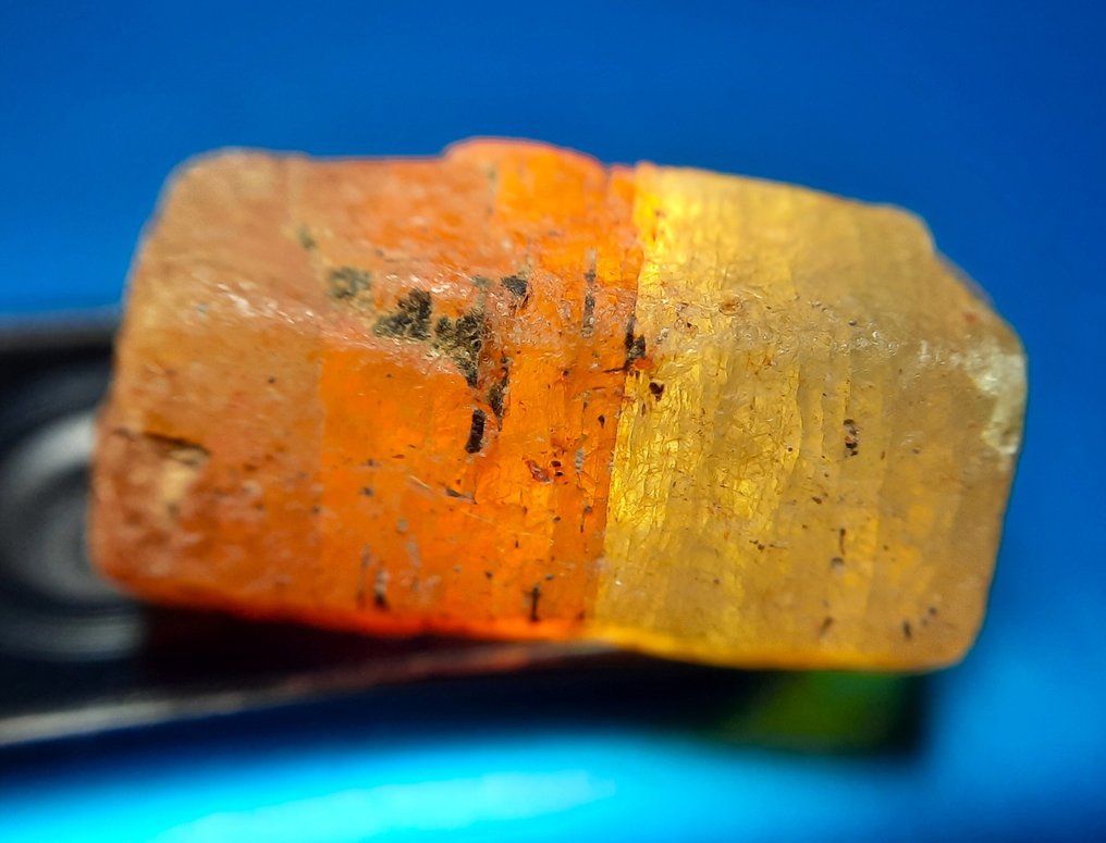 19.4 cts "RARE" Untreated Natural Bicolored Sapphire - Rough- 3.88 g #1.0