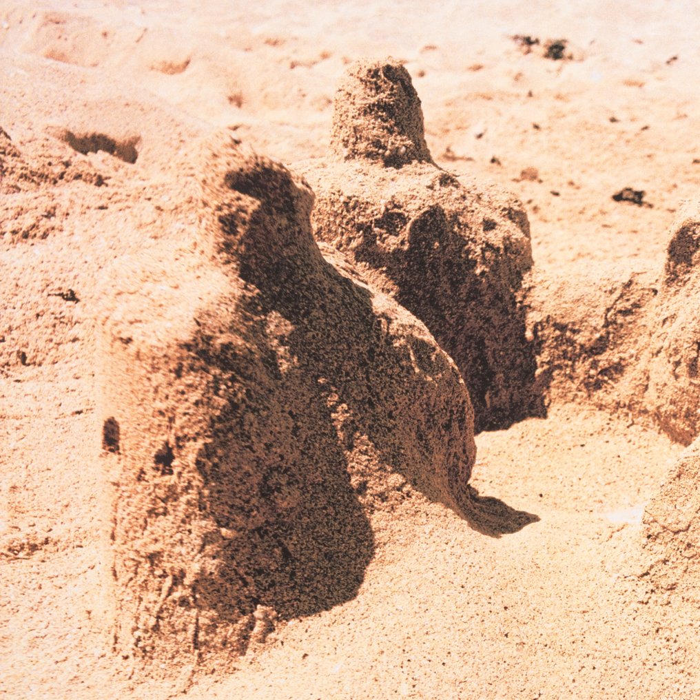 Liset Castillo (1974) - Liquid City #2.1