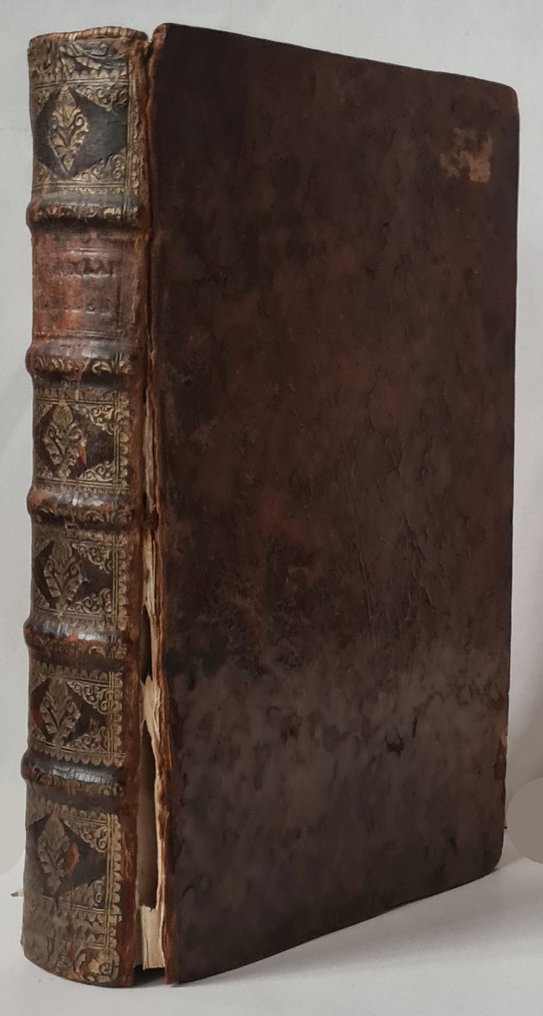 Hugo van Heussen/Hugo van Rijn - Oudheden en gestichten van het rechte Zuid-Holland en van Schieland - 1719 #4.3