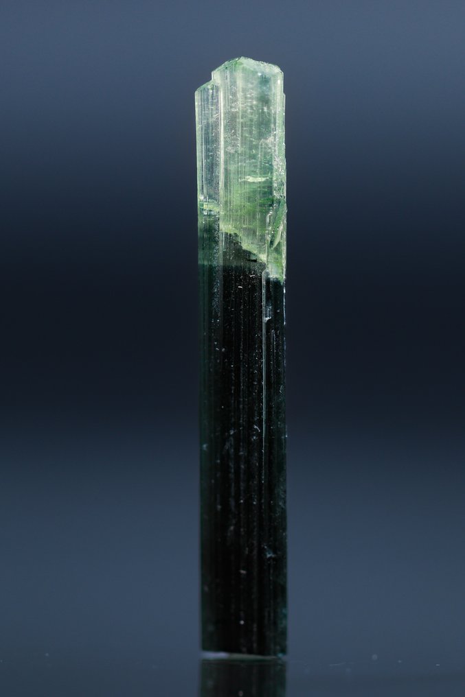 Korkeatasoinen Indicolite-turmalinkristalli • Harvinainen vihreä Apex Transition - Korkeus: 32 mm - Leveys: 5 mm- 1 g - (1) #1.0