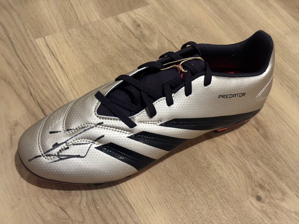 Inter Milan - 意大利足球联盟 - Javier Zanetti - 足球鞋, Adidas Predator #1.0