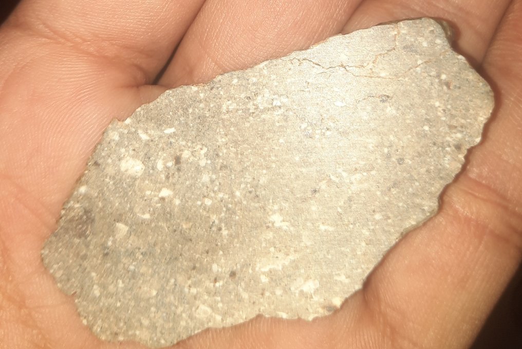 NWA 17627 - meteorite HED achondrite - Diogenite (noritic) - Height: 52 cm - Width: 33 cm - 16 g - (1) #2.1