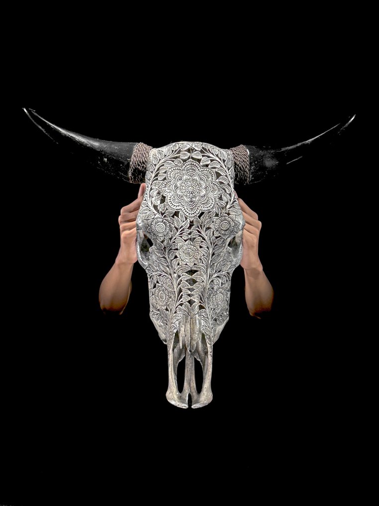 无底价 - 令人惊叹的巨大手工雕刻灰色公牛头骨 - 花卉曼陀罗图案 雕刻頭骨 - Bos Taurus - 54 cm - 63 cm - 18 cm- 非《瀕臨絕種野生動植物國際貿易公約》物種 -  (1) #1.0