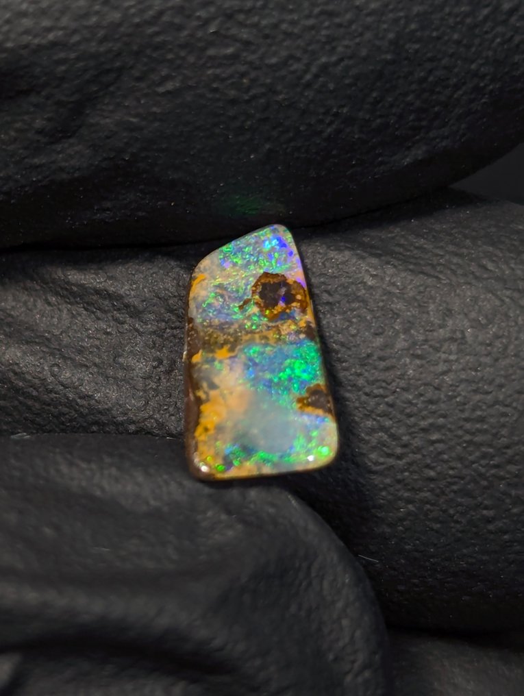 2.89 ct - 2x Natural Boulder Precious Opals from Queensland, with Intense Play of Color. Polished - Height: 11 mm - Width: 7 mm- 0.58 g - (2) #3.2