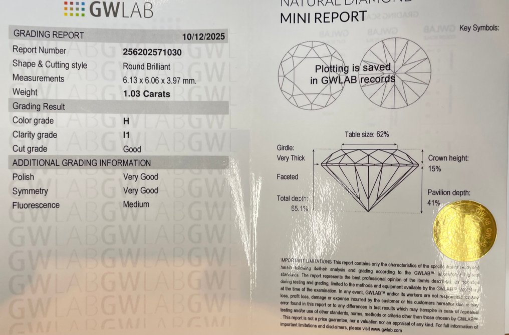 Sans prix de réserve - 1 pcs Diamant (Naturelle) - 1.03 ct - Rond - H - I1 - Gemewizard Gemological Laboratory (GWLab) #2.1
