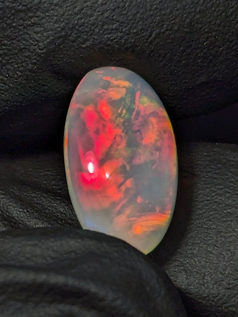 6.06 ct - Beautiful Natural Precious Welo Opal, with intense play of color. Cabochon - Height: 14.5 mm - Width: 11 mm- 1.21 g - (1) #3.2