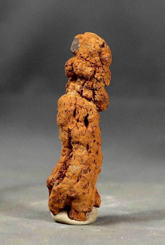 cacca di dinosauro fossilizzata - Animale fossilizzato - Coprolite - 7 cm - 2 cm (Senza prezzo di riserva) #2.1