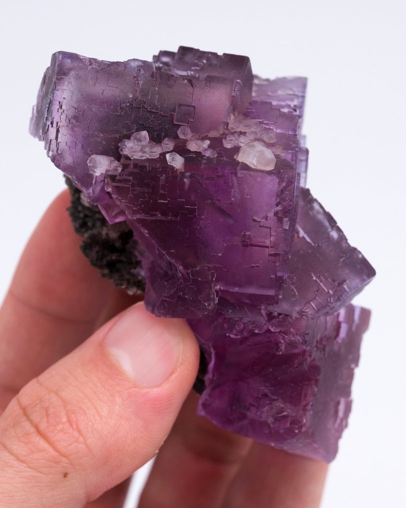 紫色萤石 使用 QUARTZ 变体 Herkimer 钻石 - 高度: 7.1 cm - 宽度: 4.2 cm- 170 g - (1) #4.3